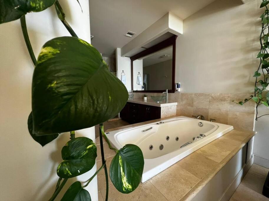 Access - Beach Penthouse Papas And Beer 2 Miles Wifi Rosarito Esterno foto